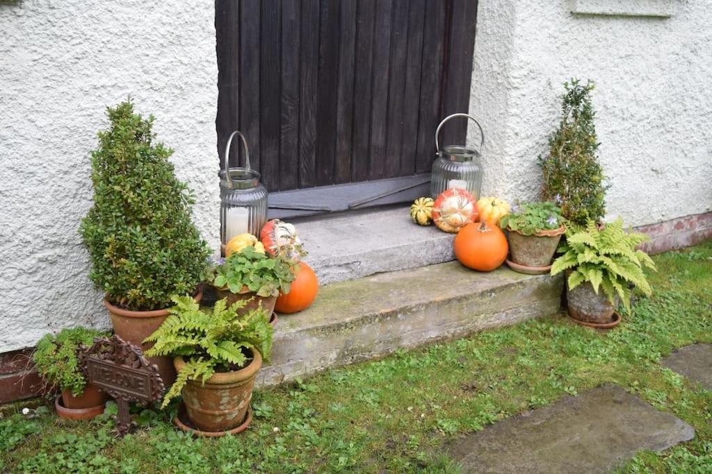 Cedra Cottage - Vintage Country Hideaway Axminster Exterior photo